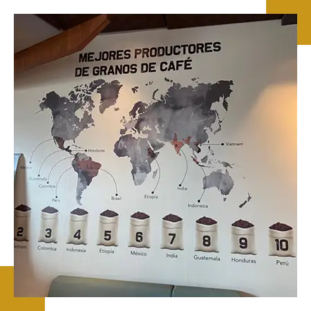 Consultoría Personalizada